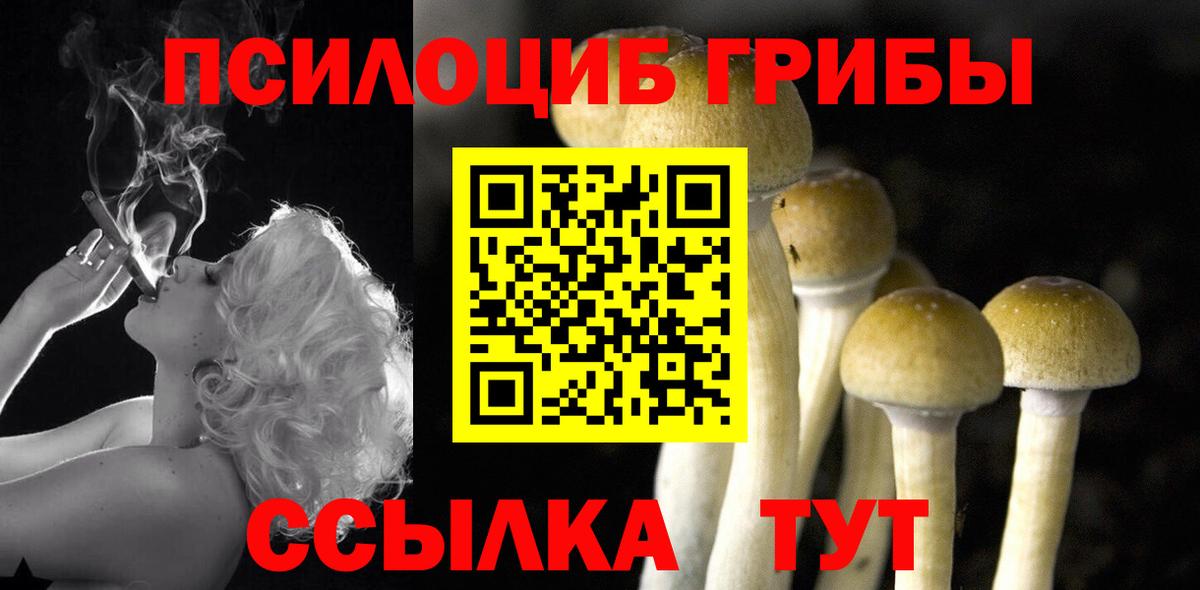 Горячий Ключ  Галлюциногенные грибы Cubensis  Вход с VPN 
